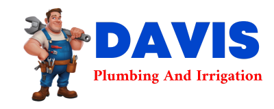 Trusted plumber in BERTRAM